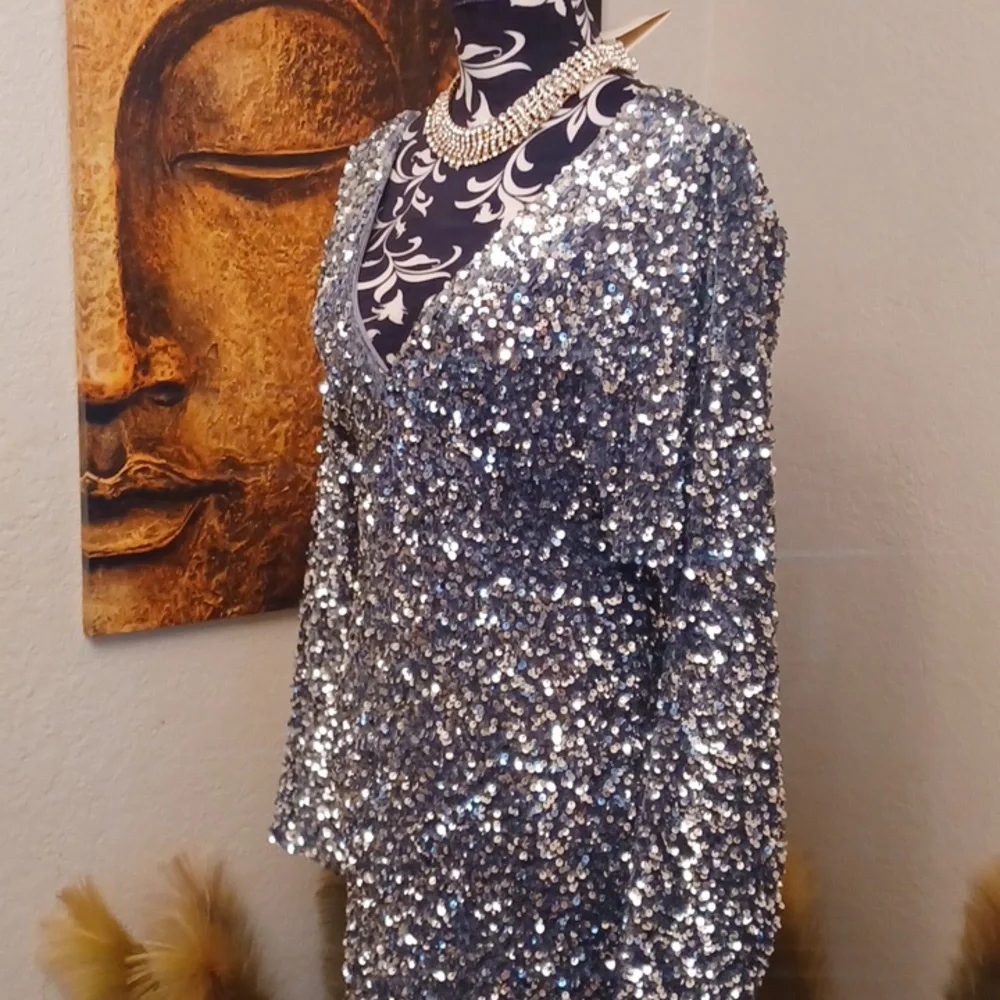 Silver Sequin Dress - Picture 3 of 4